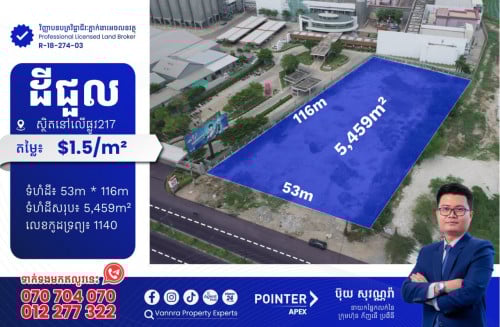 ដីជួលនៅលើផ្លូវ217