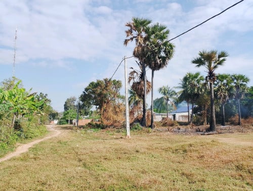 ដីលក់ 30មx50ម ប្លង់រឹង