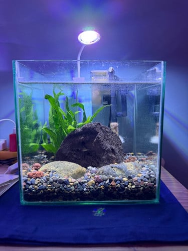 លក់មួយឈុតដូចរូប មានDecor អំពូល Filter តម្លៃ38$។ Telegram: 070744468