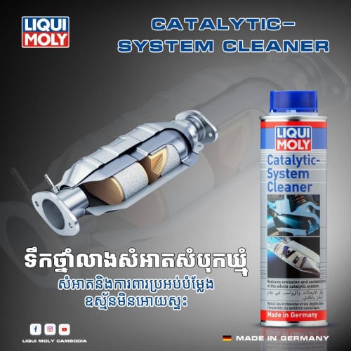 ទឹកថ្នាំសម្អាតសំបុកឃ្មុំ នឹងប្រពន្ធសាំង  Liqui Moly