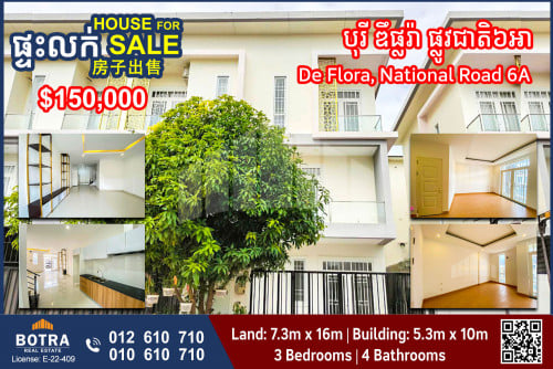 Link-Hosue for sale Borey De Flora, National Road 6A