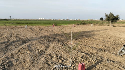 ដីឡូត៍ក្បែរព្រលានយន្ដហោះថ្មី