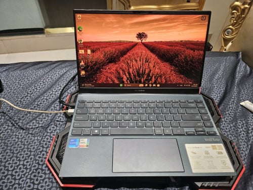 Asus Zenbook 14