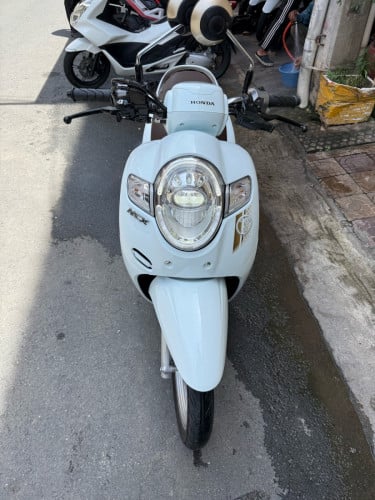 Honda scooyi