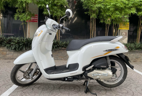 Honda scooyi