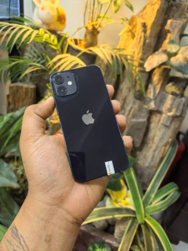 iPhone 12 mini /CH/64G/