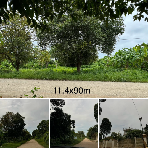 Land for sales Koh Dach