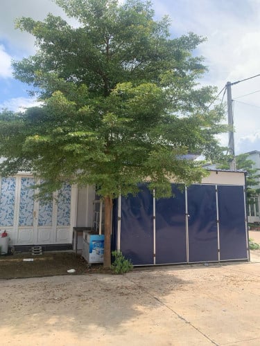 House for rent ផ្ទះកែងក្នុងបុរីសម្រាប់ជួលមានសំយ៉ាបមុខស្រួលរកស៊ីលក់ដូរ
