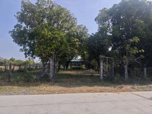 ដី2ទីតាំងសម្រាប់ជួរបើកហាងកាហ្វេ, ភោជនីយដ្ឋាន, កន្លែងតាំងលក់ផលិតផល....