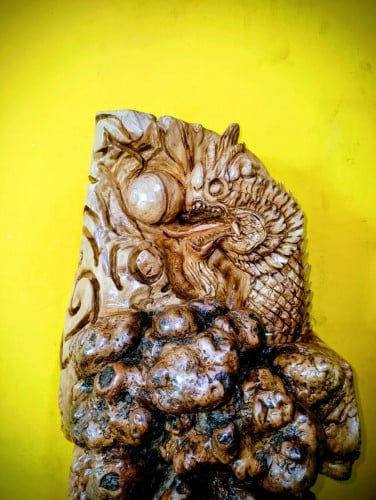 នាគខ្មែរសាងពីពកដើមមានមួយសាច់ កំពស់68