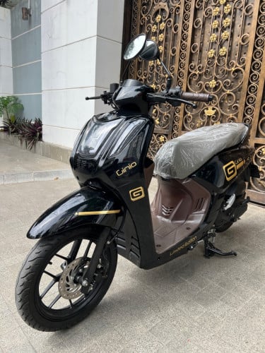 GTR GINIO 024 មួយទឹក