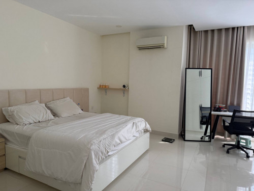 Twin villa in Borey Penh Hout 50m for sale