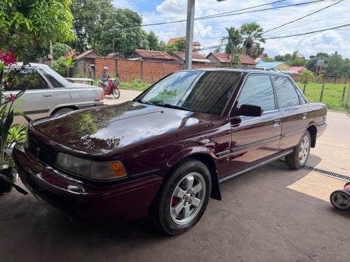 កាមរីស្វិតមេឡាន