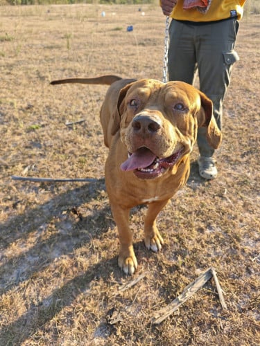 មានទទួលដាក់មេ