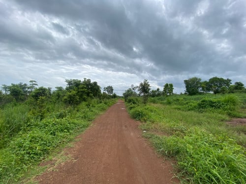 លក់ដីលំនៅស្ថាន