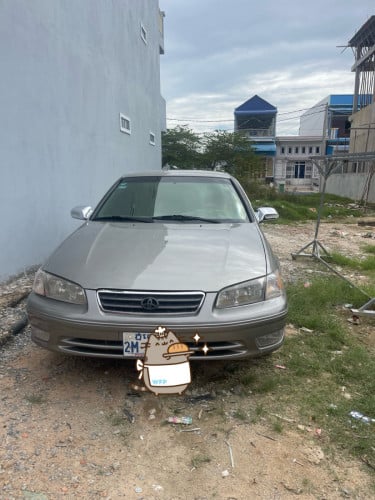 ម្ចាស់ដើម