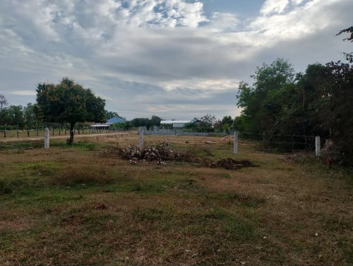 ដីឡូលំនៅឋានប្លង់រឹង ក្បែរសាលារៀន