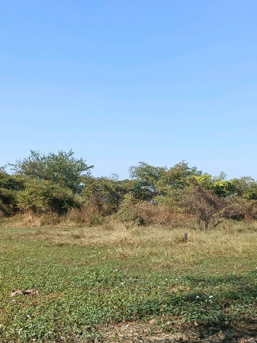 ដីលក់បន្ទាន់ប្រជុំជន