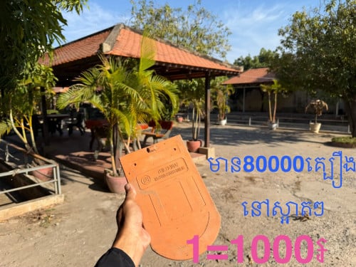 ទិញច្រេីនចចារបាន