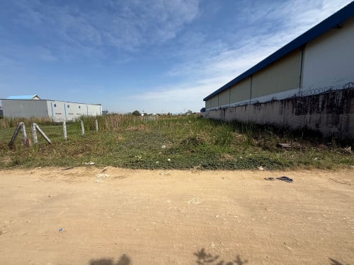 ដីលក់បន្ទាន់ចុះពីផ្លូវកប់ស្រូវតែ200m