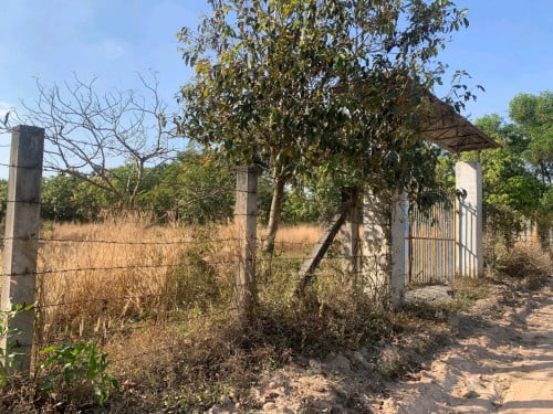 ទំហំដី 5×35m មាន3ផ្លង់ជាប់គ្នា
