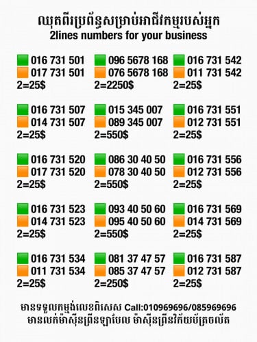 2lines for your business