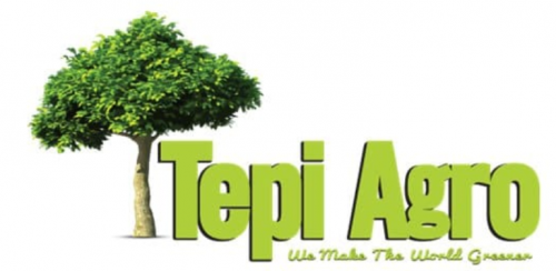 Accounting Supervisor