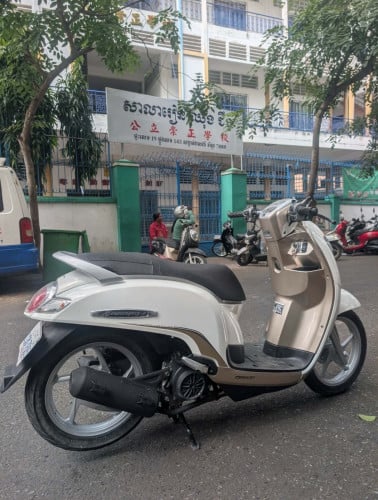 Honda Scoopy