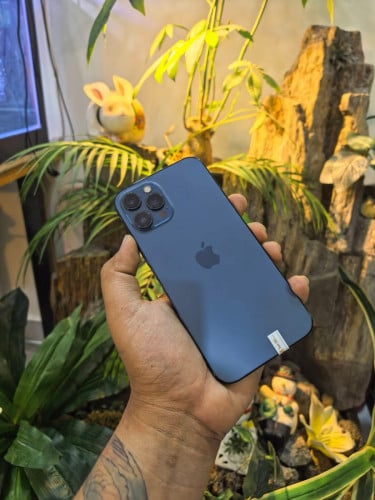 iPhone 12 Pro Max/LLA/256G/