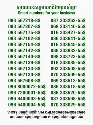 Smart លេខសម្រាប់អាជីវកម្ម