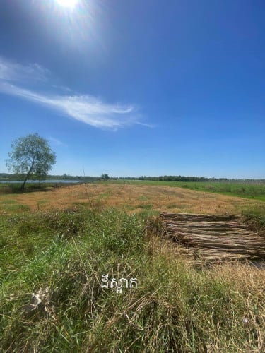 ដីកសិកម្ម ជិតកន្លះហិចតា ក្បែរក្រុងភ្នំពេញ