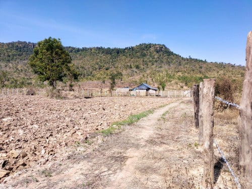 ដីចំការជើងភ្នំពាក់ស្នែង