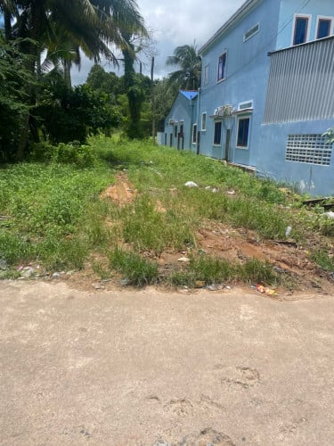 ដីលក់បន្ទាន់