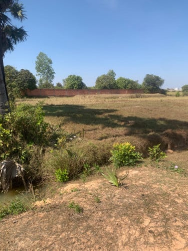 ប្លង់រឹង