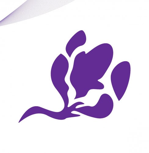 រើសផ្នែក សាឡន