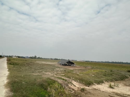 លក់ដីបន្ទាន់ ខេត្តតាកែវ ស្រុកទ្រាំង (ដីជាប់ផ្លូវ ចេញពីរថ្នល់ជាតិ1គីឡូូដីដល់))