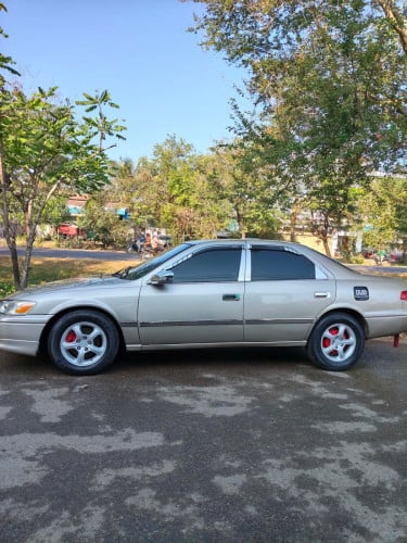 ឆ្លាម2000 ទឹកមាស