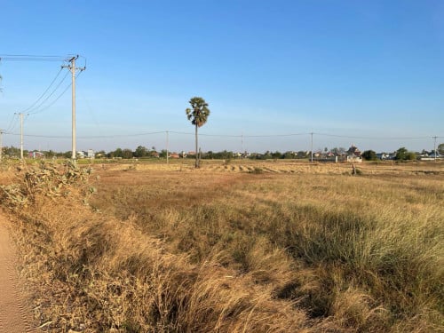 #ដីលក់បន្ទាន់ ចុះពីផ្លូវលេខ4 ចំងាយ4km