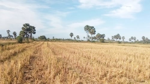 🏦Land for Urgent sale (Negotiable), ABA Loan Available