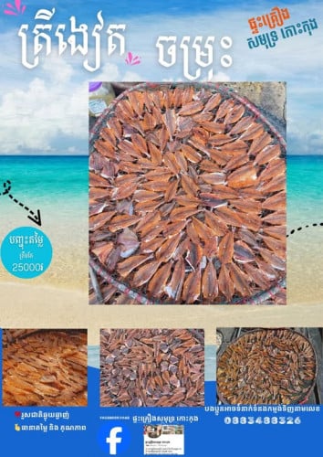 🐟✨ ត្រីងៀតចម្រុះ ឆ្ងាញ់ គុណភាពល្អ ✨🐟 1គីឡូ ៣៥០០០៛