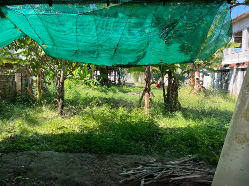 តំលៃចចារបាន