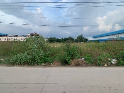 ដីលក់តម្លៃល្អ មុខផ្សារសុភមង្គល់