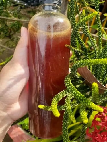 ទឹក​ឃ្មុំ​ព្រៃ​ធម្មជាតិ​