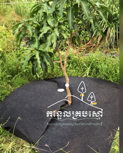 ក្រណាត់ សម្រាប់គ្របគល់ដំណាំ ការពារស្មៅមិនឲ្យដុះ