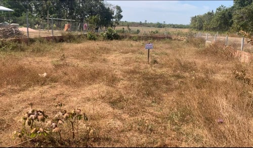 ដីលក់បន្ទាន់ Lang for urgent sales