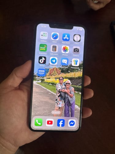 iPhone XS Max 64GB + Original Charger