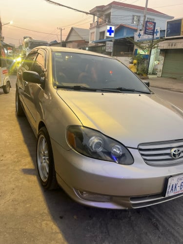 ឡានកូឡា03ឡានថ្មីណាស់ ម្ចាស់ដេីម