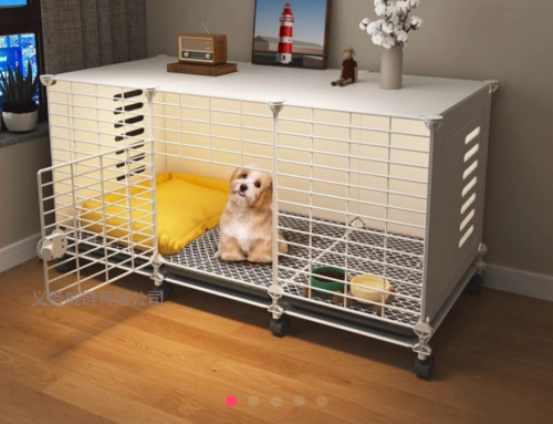 ទ្រុងឆ្កែថ្មី99.99%មិនធ្លាប់ប្រើ