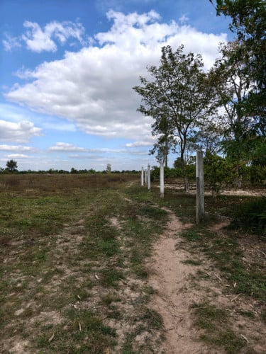 ដីលក់នៅសៀមរាប/ Land for Sale SiemReap