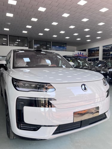 Denza N9 Flagship edition 2026